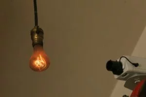 110 year old bulb