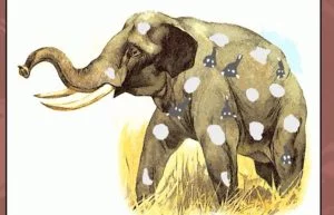 Mnemonic Video Dictionary / Pachyderm Meaning