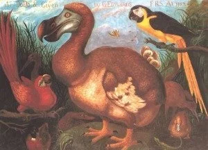 One of the most famous representation of Dodo