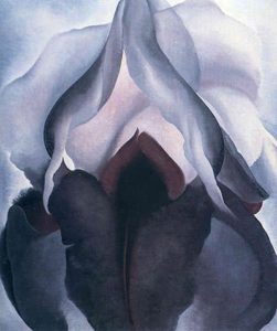 Black Iris (1926) - Georgia O'Keeffe