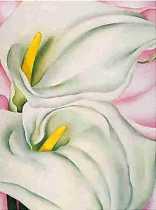Two Calla Lilies on Pink (1928) - Georgia O'Keeffe