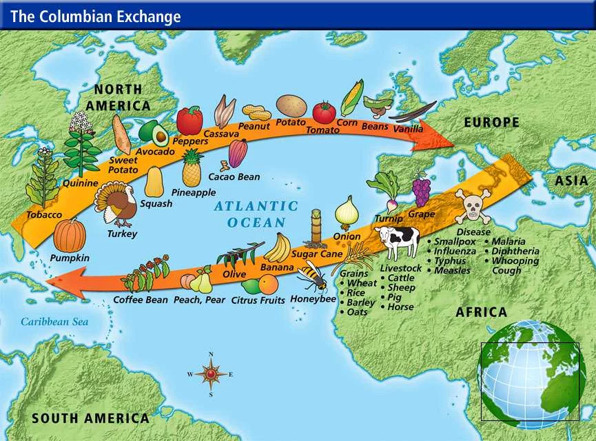 Columbian Exchange Chart