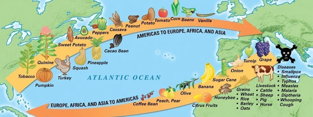 Columbian Exchange Facts Featured