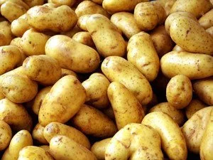 Potato - A New World crop