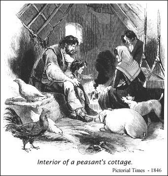 Illustration of a peasant's cottage