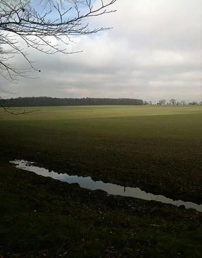 Site of Battle of North Walsham