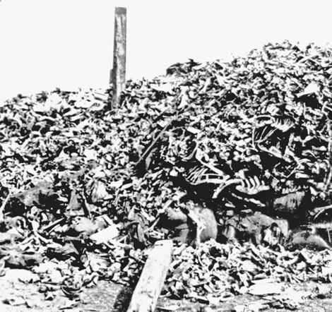 Battle of Verdun Human Remains