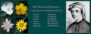 Fibonacci Facts Featured
