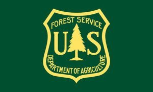 U.S. Forest Service Flag