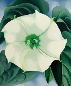 Jimson Weed, White Flower No. 1 (1932) - Georgia O'Keeffe