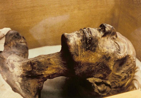 Mummy of Ramses II