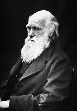 Чарльз Дарвин в 1869 году