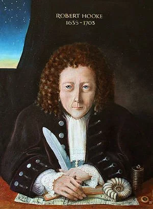 Portrait of Robert Hooke by Rita Greer