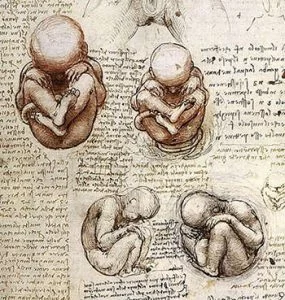 Leonardo's drawings of a Foetus in the Womb