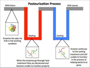 Pasteurization process diagram
