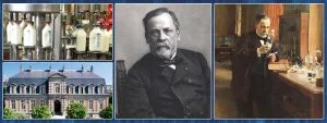 Louis Pasteur Facts Featured