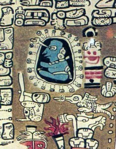 Maya astronomer from the Madrid Codex