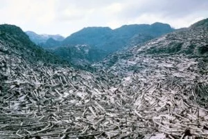 Mount St. Helens destruction