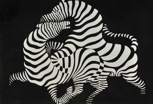 Zebra (1937)