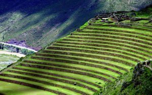 Inca Terraces in Pisac, Peru