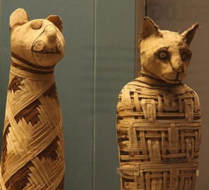 Egyptian mummies of animals