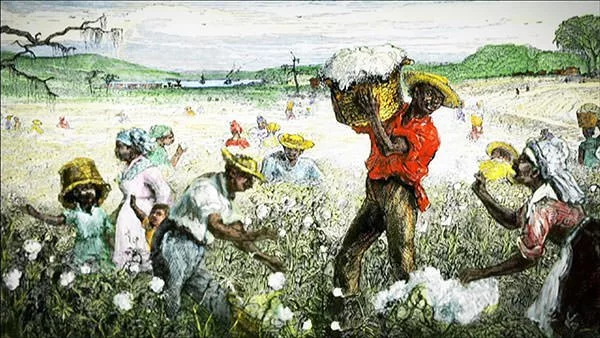 American South cotton plantation