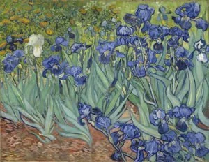 Irises (1889)