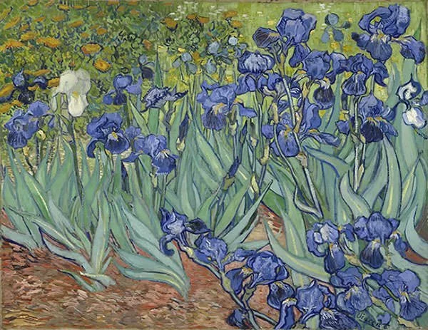 Irises (1889)
