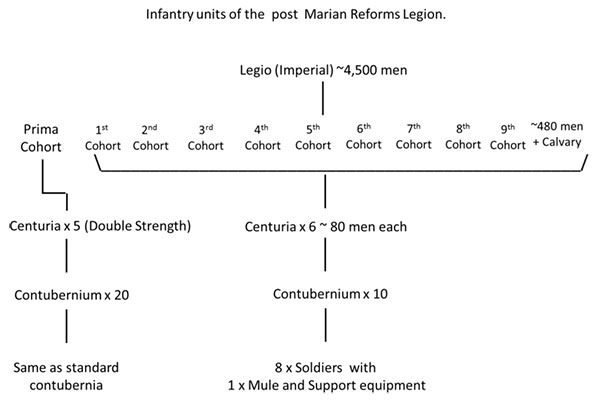 Organization of Roman legion