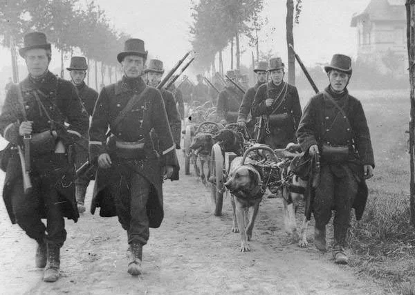 Belgian troops in the Battle of the Frontiers