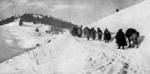 Serbian Army’s retreat through Albania in WW1