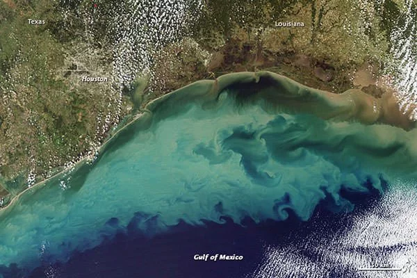 Dead Zone Gulf of Mexico