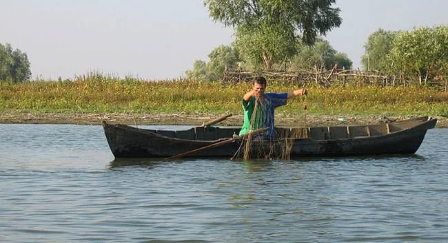 Danube Delta Fisherman