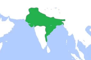 Gupta Empire Map