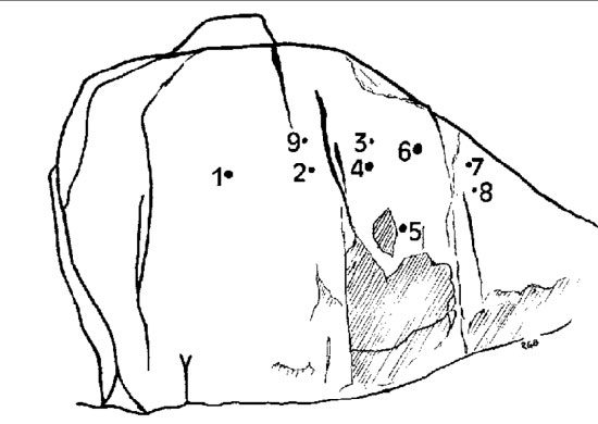 Chief's Rock cupules distribution diagram